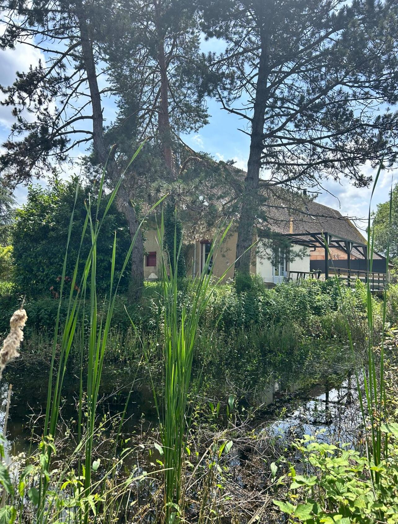 Le Gite Du Chateau Mouton Chatenoy-le-Royal Eksteriør billede