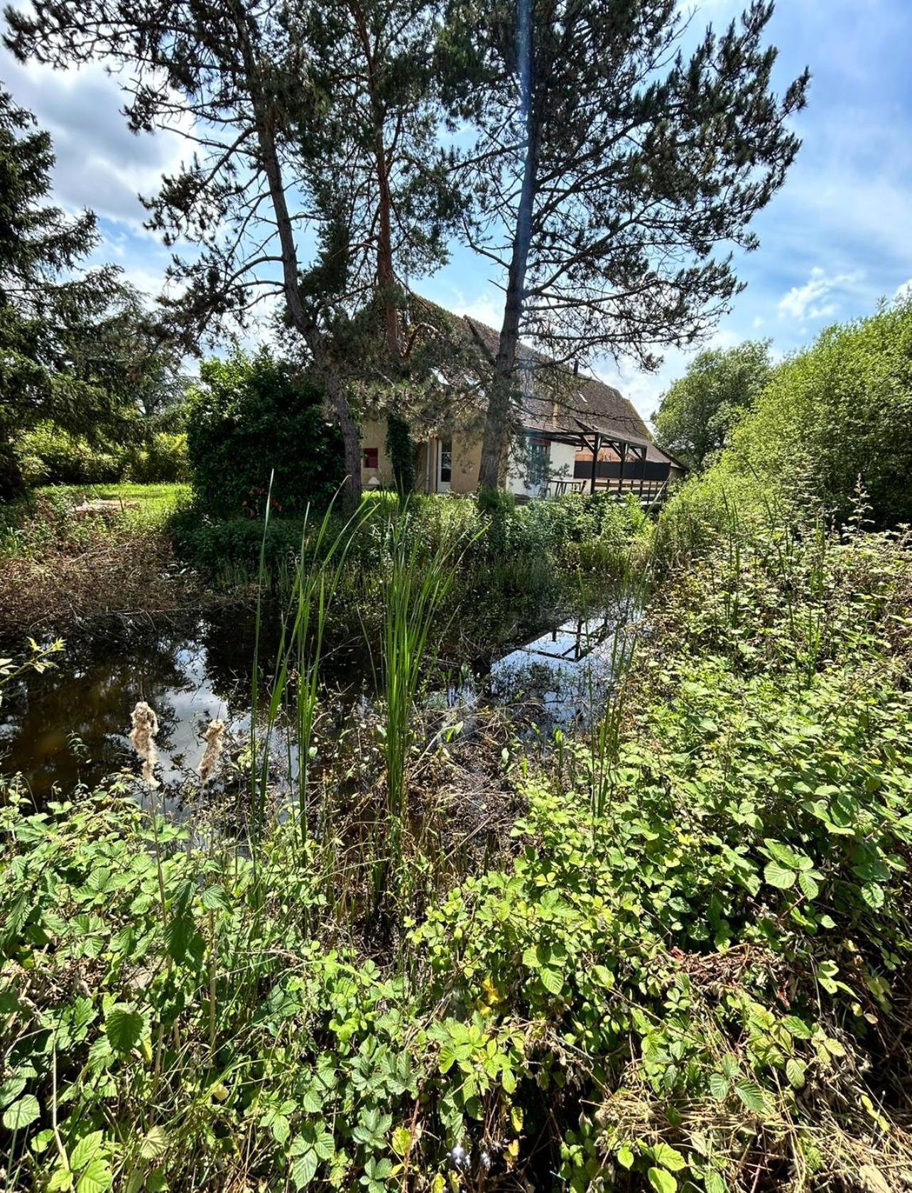 Le Gite Du Chateau Mouton Chatenoy-le-Royal Eksteriør billede